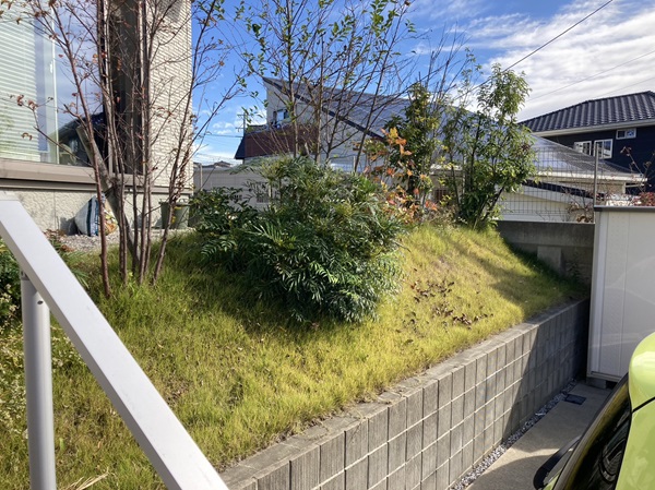 四乃森デッキ　妥協なし　調整用込み 600.jpg